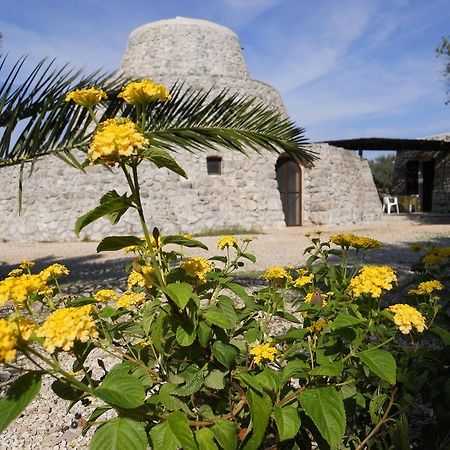 Agriturismo Specchiarussa Морчано-ди-Леука Номер фото